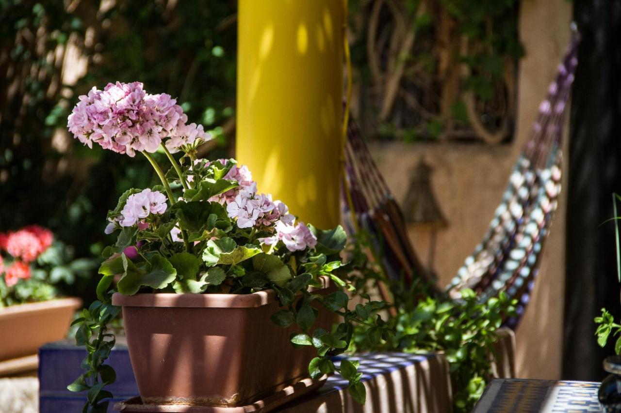 Riad Tama & Spa Ouarzazate Buitenkant foto